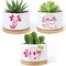 3PCS Funny Printed Ceramic Plant Pots – Succulent Planters with Drainage & Saucers, Gift for Women